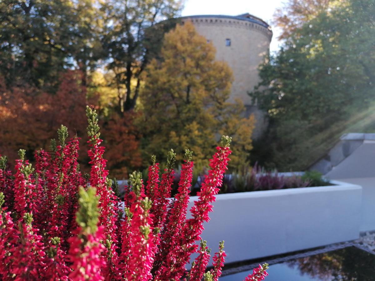Apartment Serenade Am Zwinger Goslar Exteriör bild